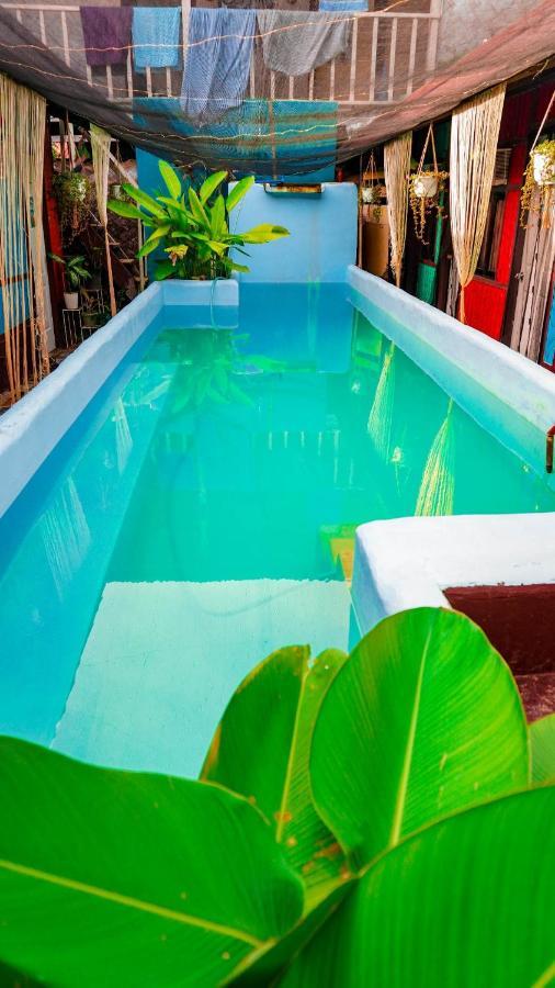 Backpackers Inn Gardenview Inn El Nido Bagian luar foto